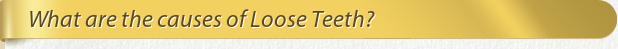 Dentist Bethesda What are the causes of Loose Teeth?