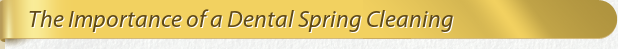Dentist Bethesda The Importance of a Dental Spring Cleaning